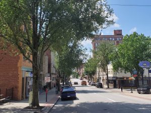 Trees a growing issue on High Street